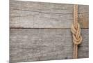 Wood Mount