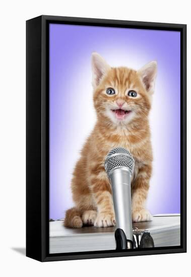 Karaoke Cat Ginger Tabby Kitten Singing into Microphone-null-Framed Stretched Canvas