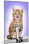 Karaoke Cat Ginger Tabby Kitten Singing into Microphone-null-Mounted Premium Photographic Print