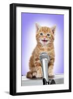 Karaoke Cat Ginger Tabby Kitten Singing into Microphone-null-Framed Photographic Print