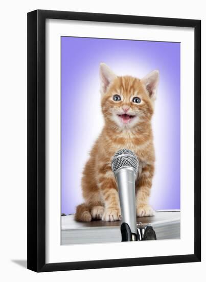 Karaoke Cat Ginger Tabby Kitten Singing into Microphone-null-Framed Photographic Print