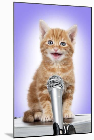 Karaoke Cat Ginger Tabby Kitten Singing into Microphone-null-Mounted Photographic Print