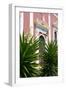 Karavados Church, Kefalonia, Greece-Peter Thompson-Framed Photographic Print