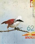 Bird III-Kareem Rizk-Giclee Print