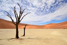 Namib Desert-Karel Gallas-Framed Photographic Print