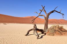 Namib Desert-Karel Gallas-Framed Photographic Print