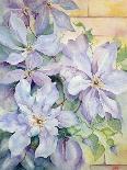 Clematis, the President-Karen Armitage-Giclee Print