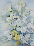 Freesia Eldus, Giant White-Karen Armitage-Giclee Print