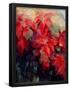 Essential Black