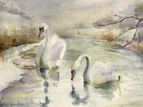 Swans in Winter-Karen Armitage-Giclee Print
