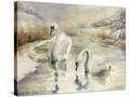 Stretched Canvas