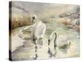 Stretched Canvas