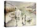 Stretched Canvas