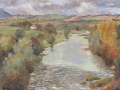 The River Tweed, Roxburghshire, 1995