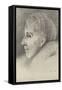 Karen Blixen, Danish Author-null-Framed Stretched Canvas