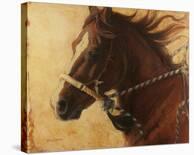 Christmas Mystery-Karen Bonnie-Stretched Canvas