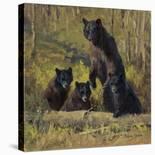 Twin Mountain Triplets-Karen Bonnie-Stretched Canvas