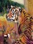 Laminate