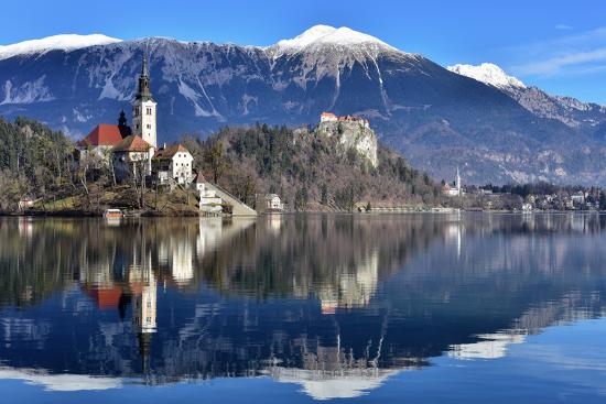 Premium Photographic Print, , large