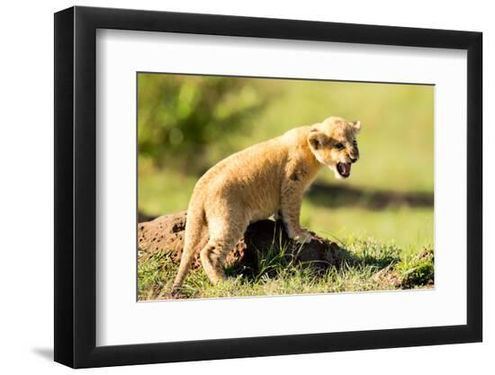 Photographic Print, , large