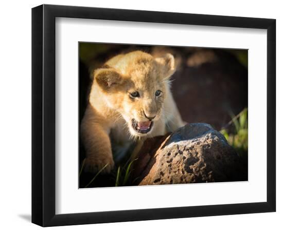 Premium Photographic Print, , large