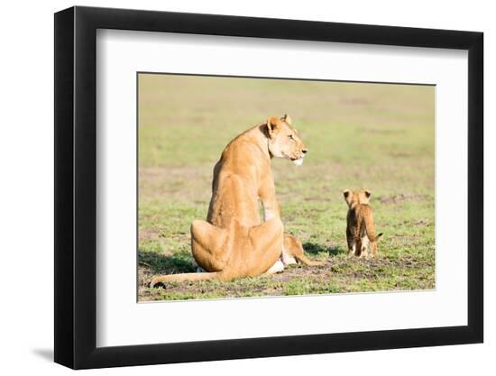 Premium Photographic Print, , large