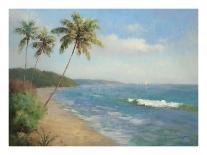 Palma de la Playa-Karen Dupr?-Framed Stretched Canvas