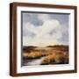 Brown Frame