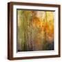 Brown Frame