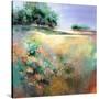 Stretched Canvas