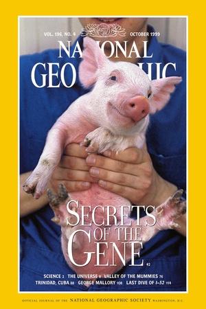 Cover of the October, 1999 National Geographic Magazine