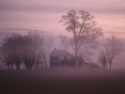 Fall Fog on Suffolk Virginia Farm