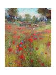 In the Poppy Field-Karen Margulis-Laminated Art Print