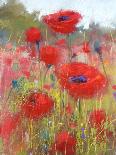 In the Poppy Field-Karen Margulis-Mounted Art Print