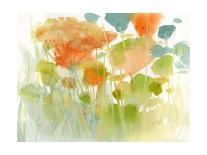 In the Poppy Field-Karen Margulis-Laminated Art Print
