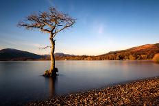 Loch Rusky, Perthshire, Scotland, United Kingdom, Europe-Karen McDonald-Photographic Print