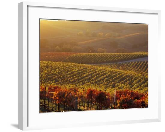 Framed Photographic Print, , large