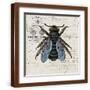 Brown Frame