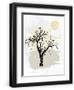 Chelsea Black