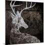 Wood Mount