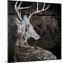 Wood Mount