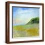 Brown Frame