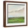 Brown Frame