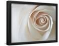 Essential Black