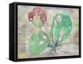 Framed Canvas