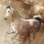 Golden Grey-Kari Brooks-Framed Art Print