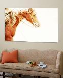 Sepia Steer-Kari Brooks-Stretched Canvas