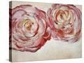 Stretched Canvas