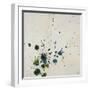 White Frame