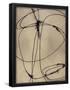 Essential Black